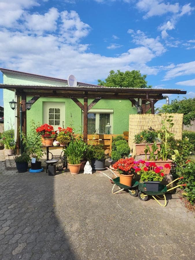 Ferienwohnung Bauerngarten Klein Vielen Ngoại thất bức ảnh